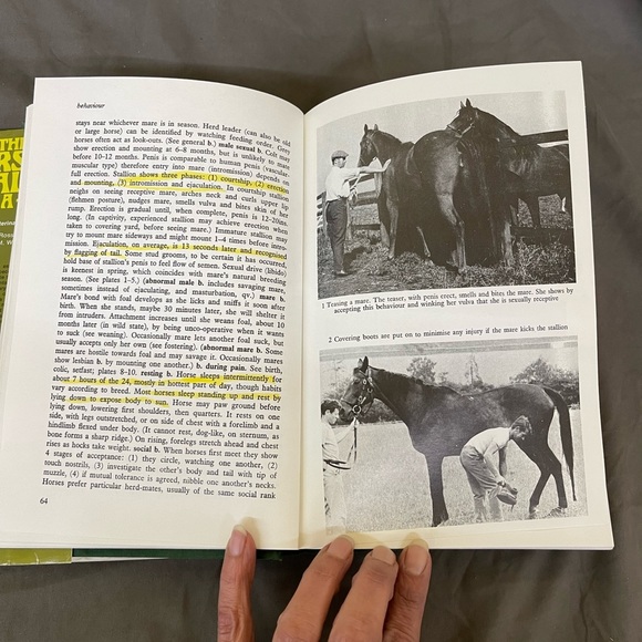 The Horse’s Health From A to Z An Equine Veterinary Dictionary 1978 - Picture 9 of 16